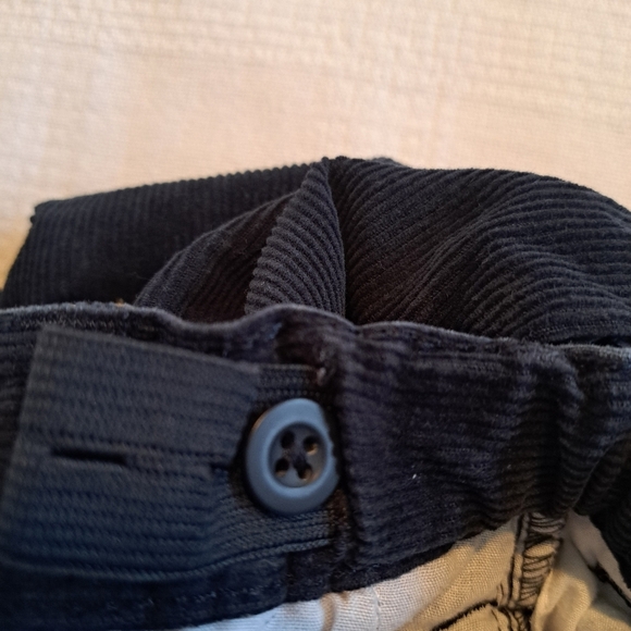 Gymboree boys size 4T blue corduroy pants, adjustable waist, embroidered dogs - Picture 3 of 4